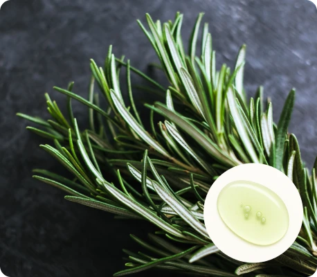 Roota Hair Growth Serum